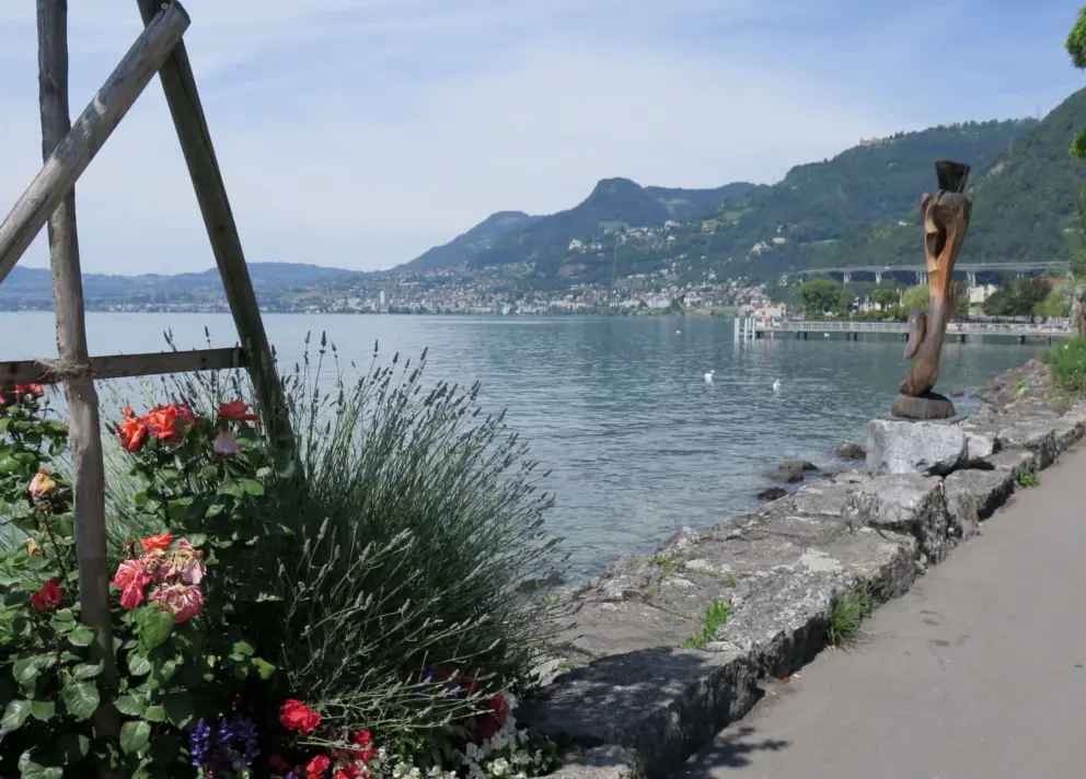 Flowers on the waterfront path. 