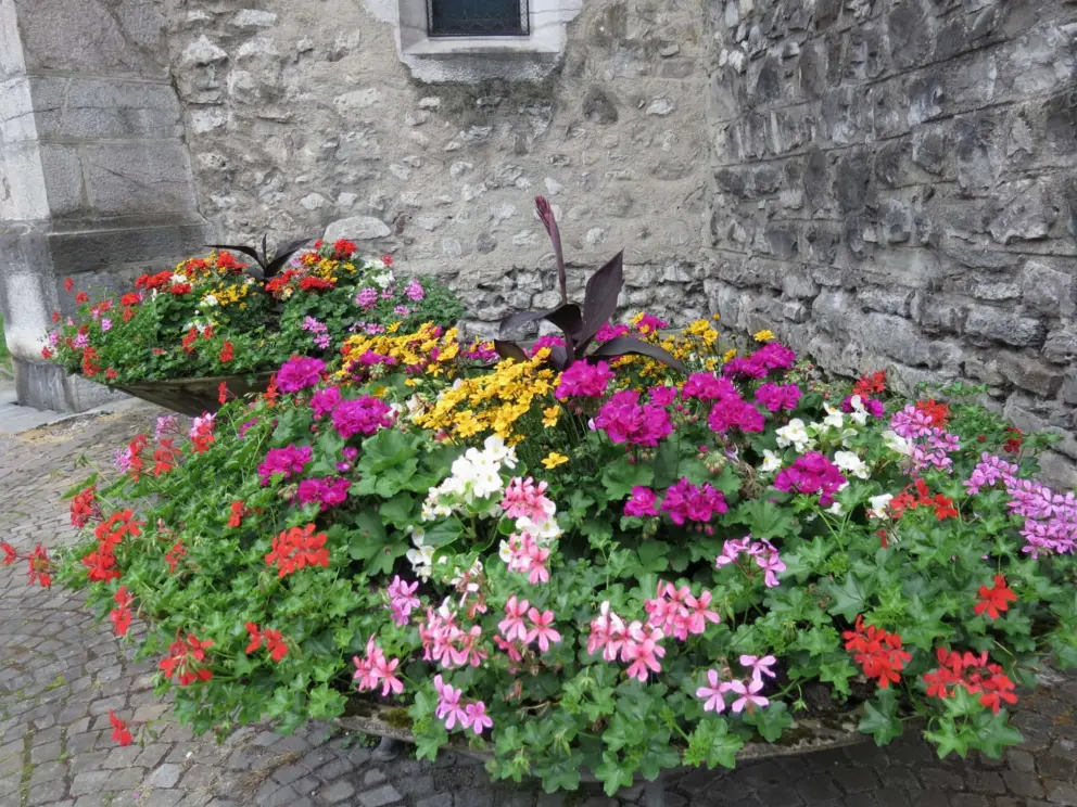 Flowers at Villenueve Temple, a protestant church. 