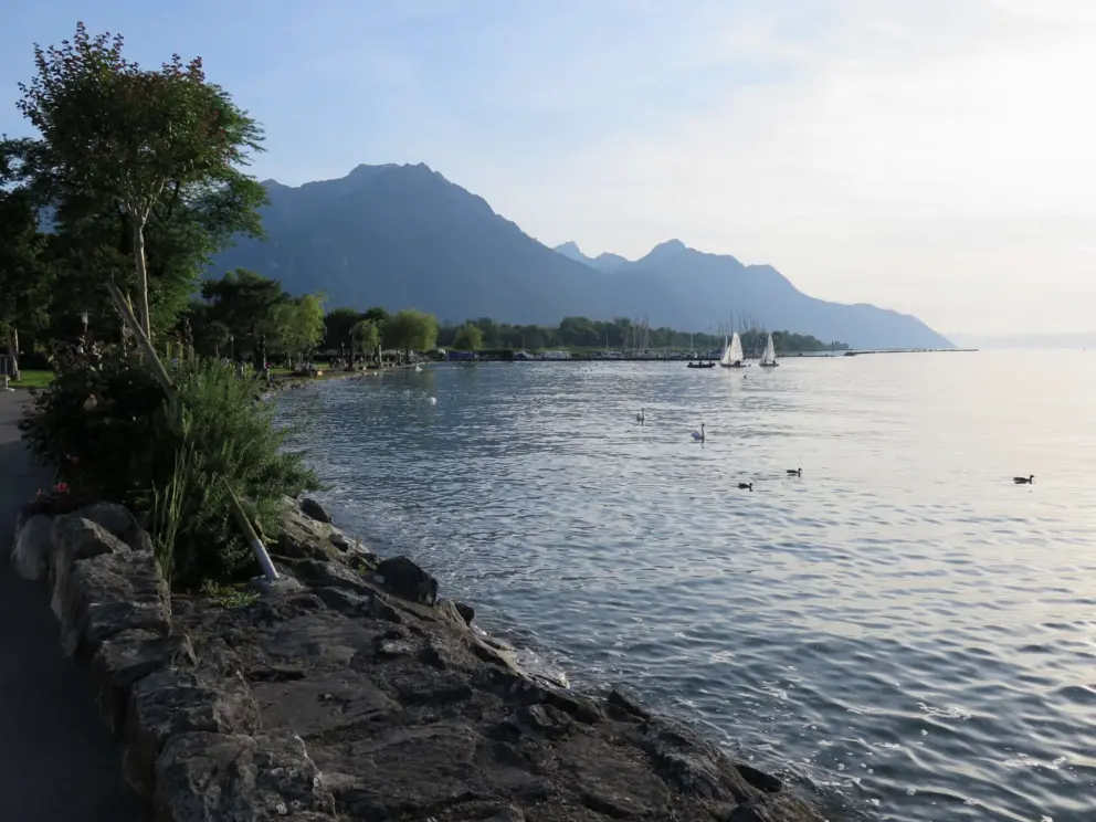 The water in the evening, with sailboats. 