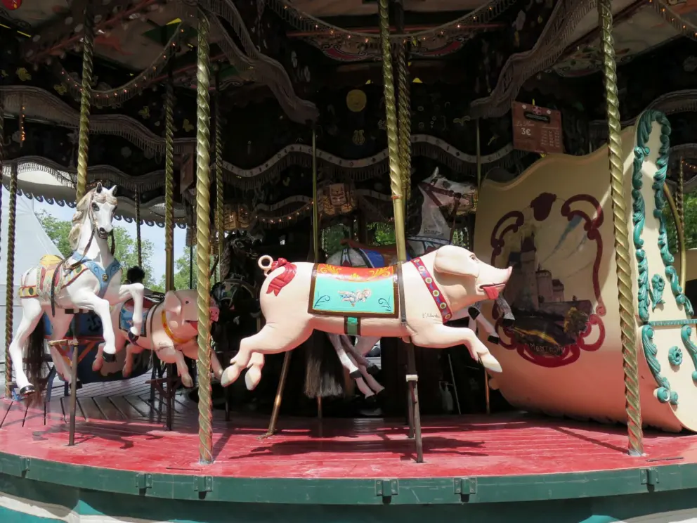 Pig on the carousel. 
