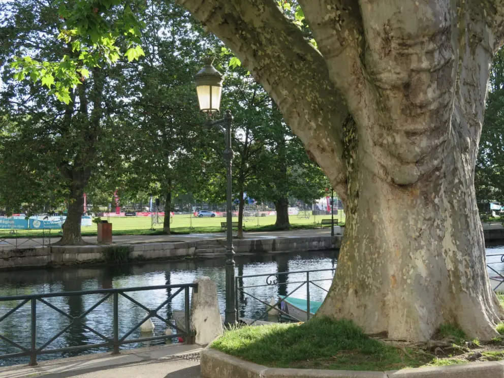 Lamppost along the canal. 