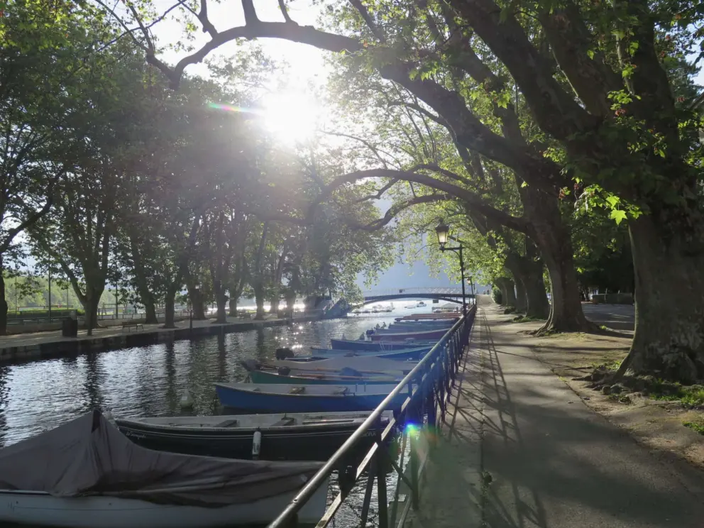 Rowboats along the canal. 