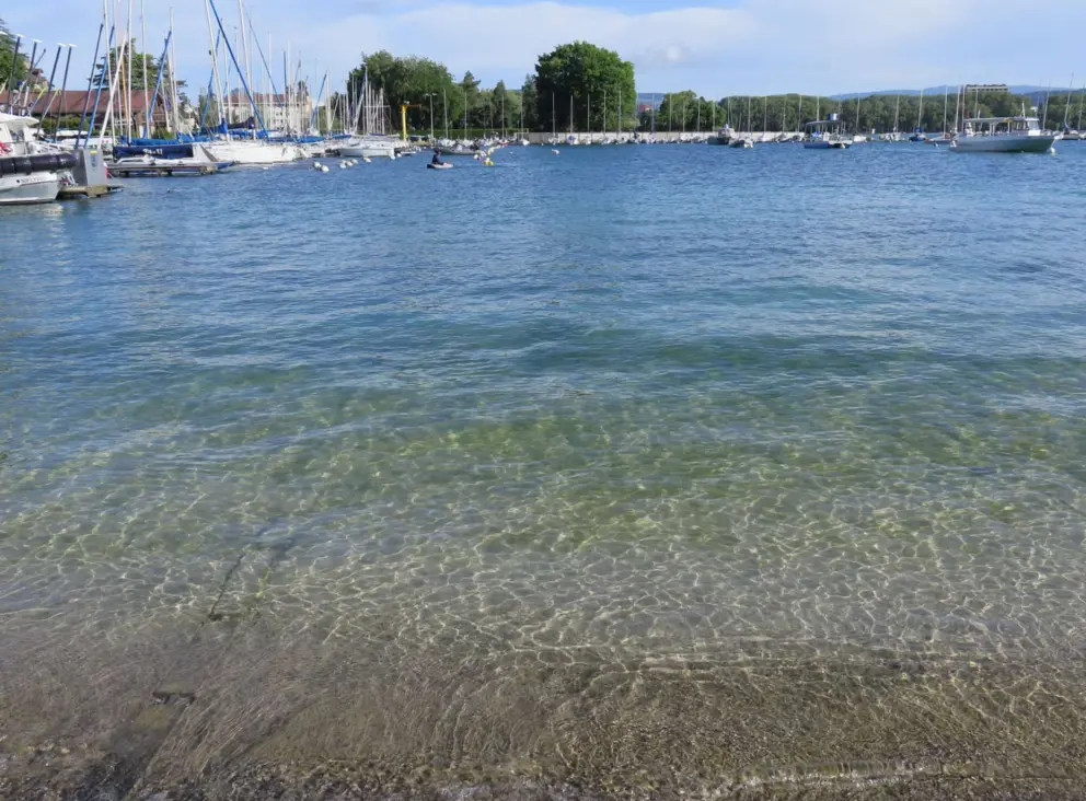 The water is clear at Port d'Annecy. 