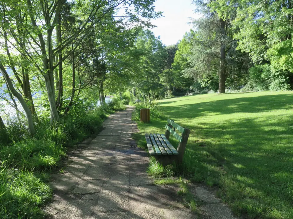 Fine grass and beautiful trees beside the walking path. 