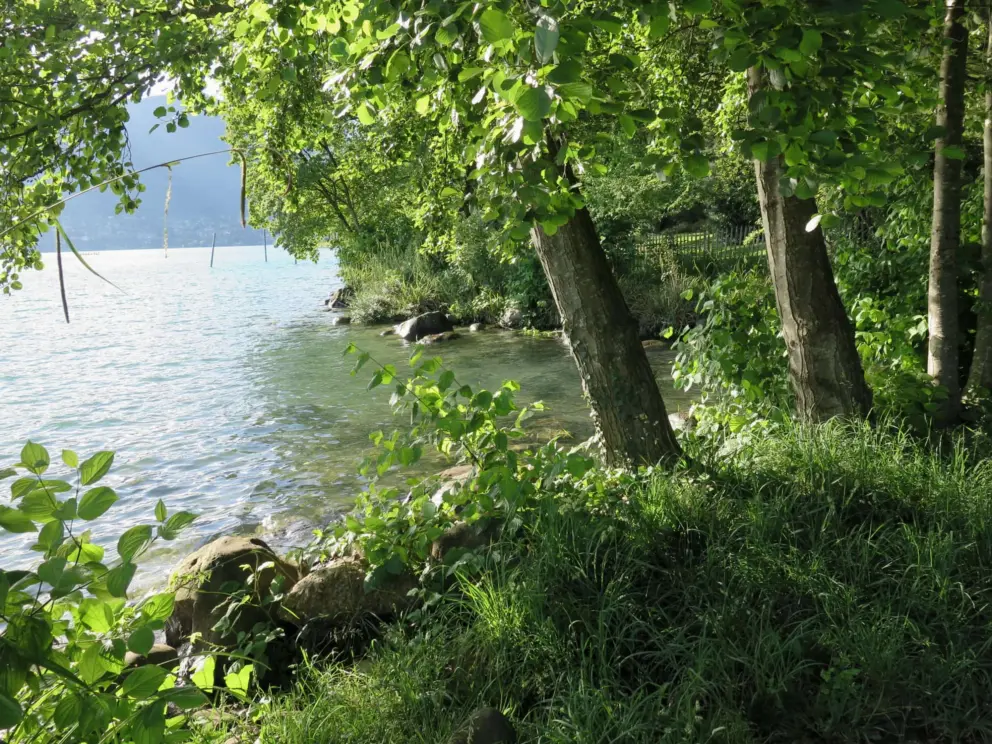 The water is right beside you as you take the shady walking path. 