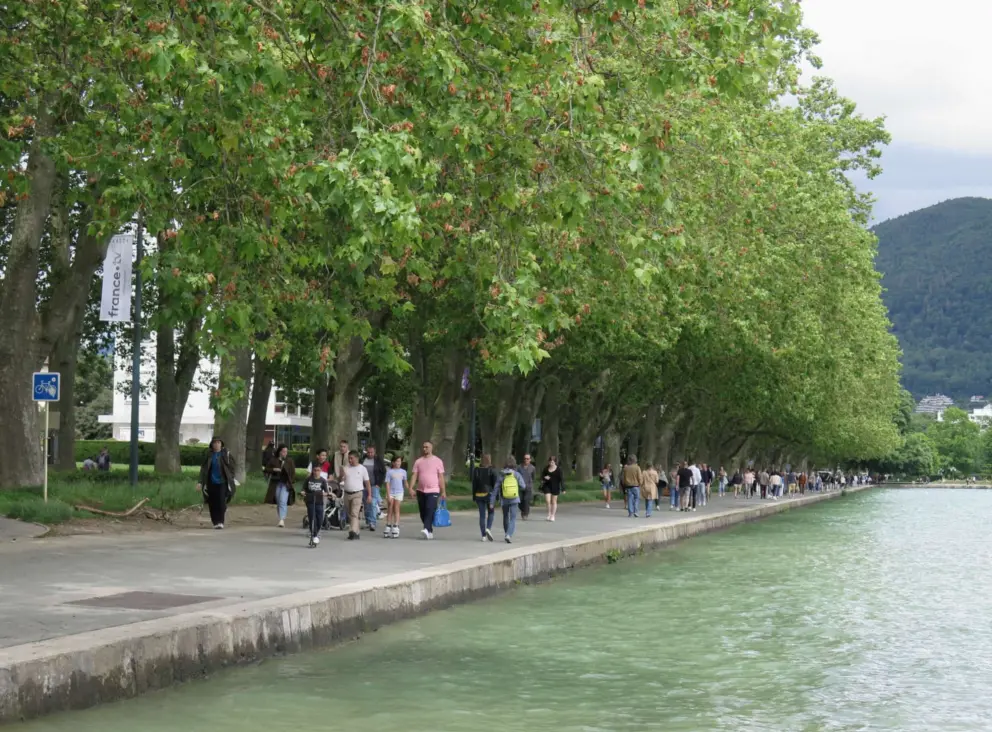 Plane trees and jade green water line the walkway that leads to Parc Charles Bosson. 