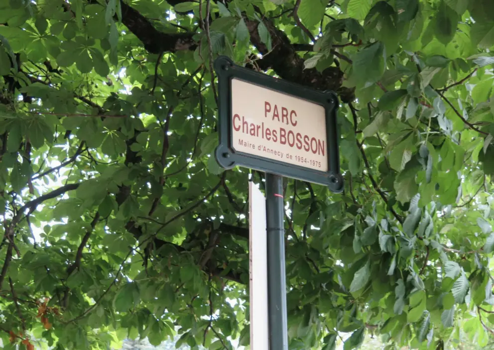I love the big leaves of the French trees. 