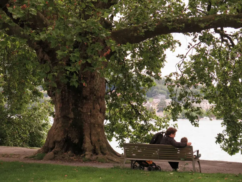 Sitting on a bench at the water in Parc Charles Bosson. 