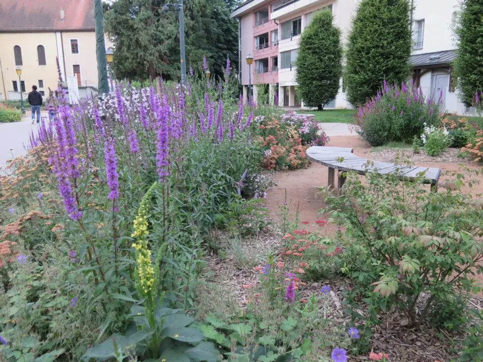 Purple flowers in a square. 