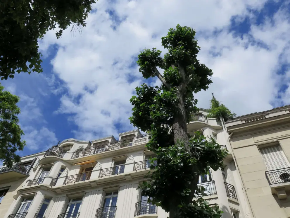 The residences that border the Champ de Mars are elegant. 