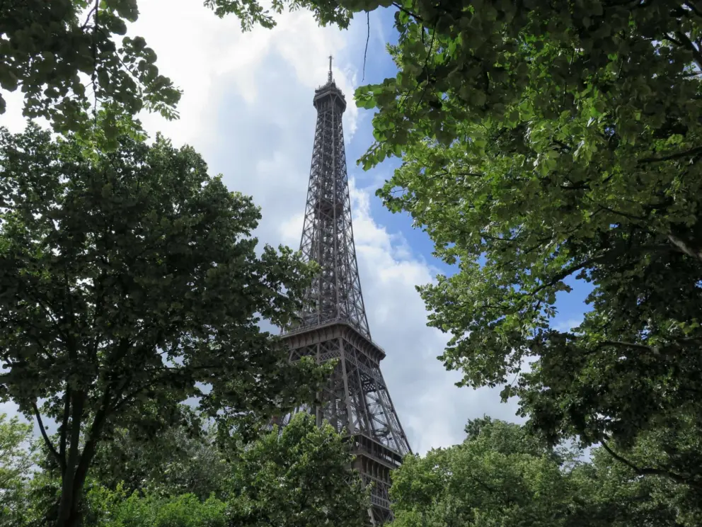 View of the Eiffel Tower through the trees of the Champ de Mars. 