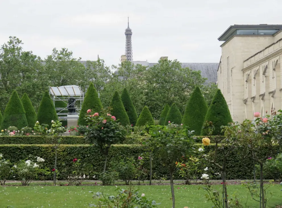 View of the Eiffel Tower from the rose garden.