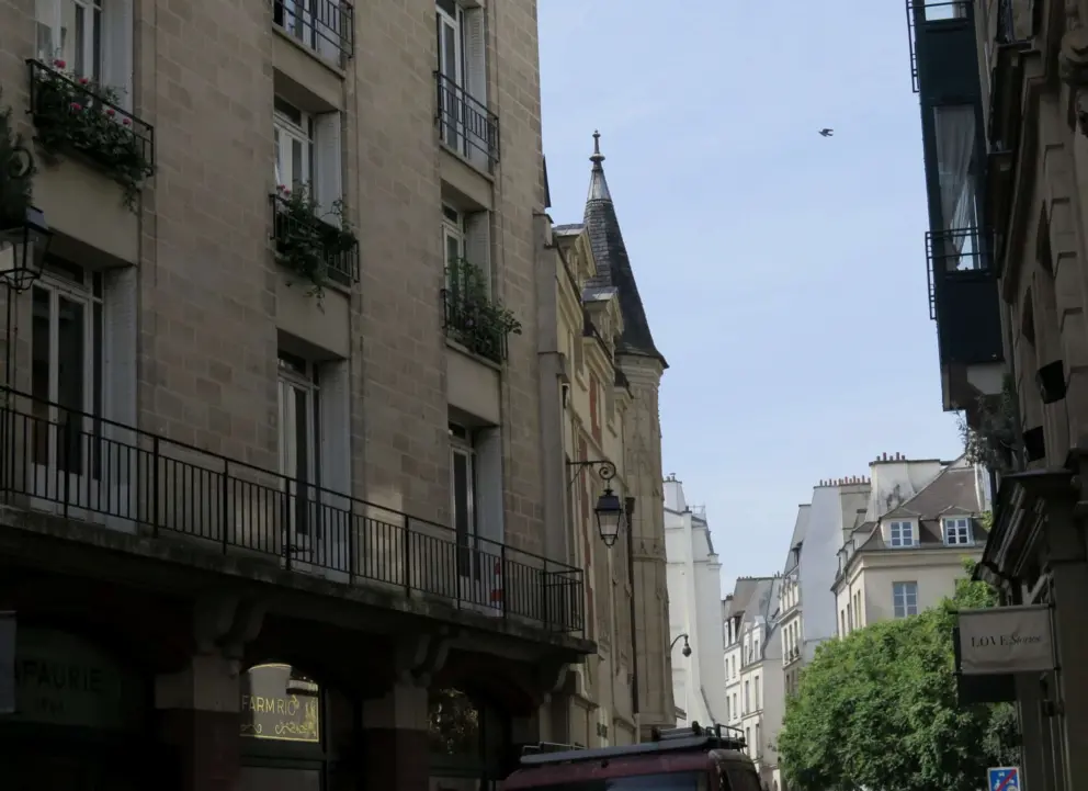 Look up at the rooftops!
