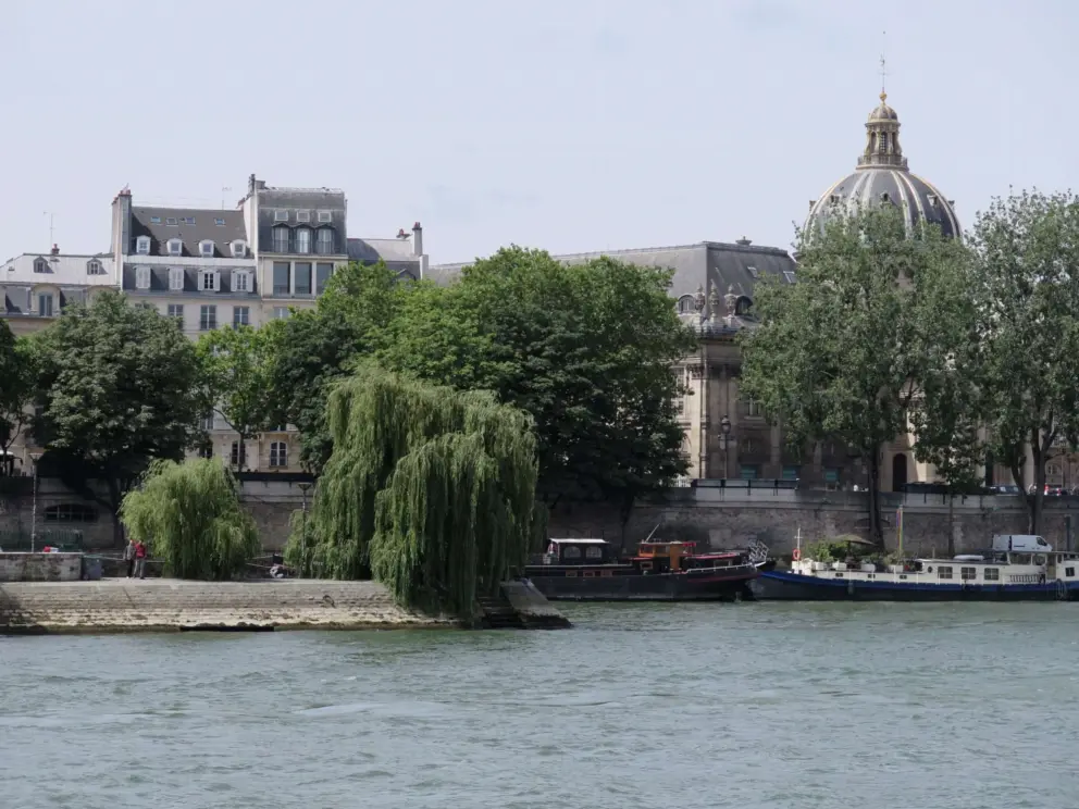 Willow tree on the end of an island in the river. 