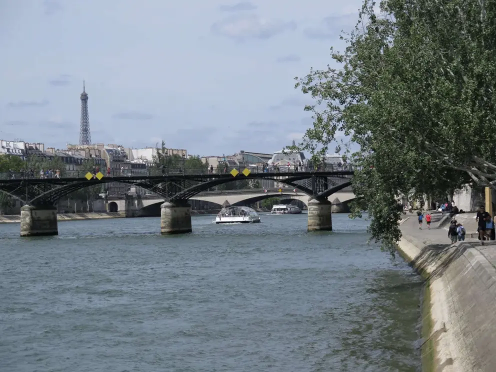 Pont des Arts, and a tree hanging over the river bank. 