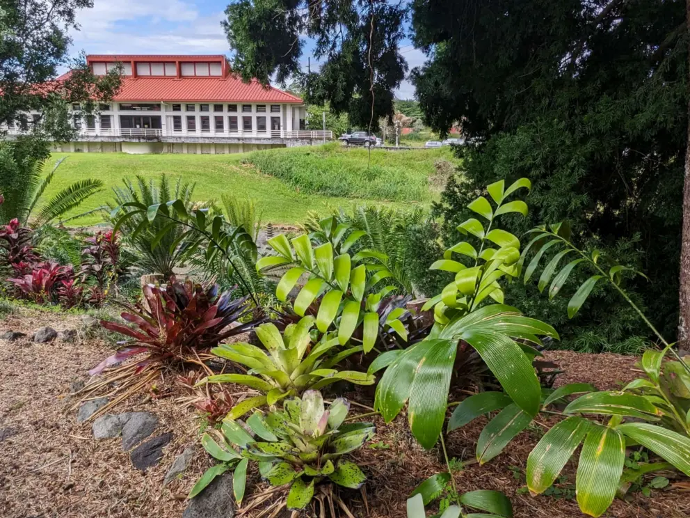 Bright green plant, and red-roof building across the embankment. 