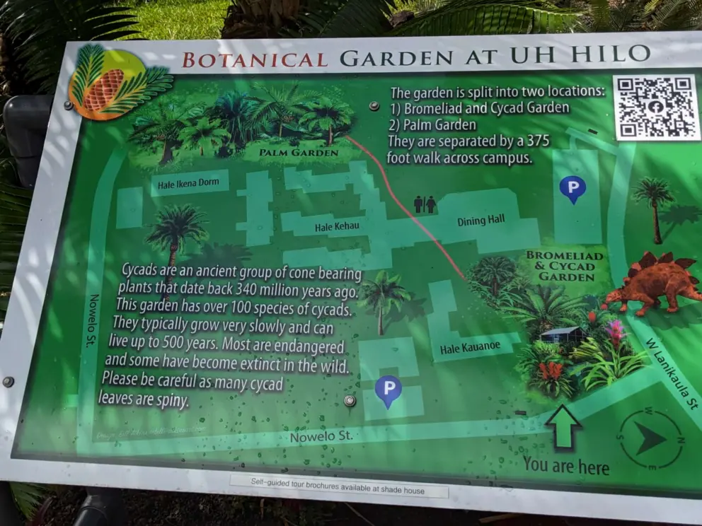 The map of the garden. 