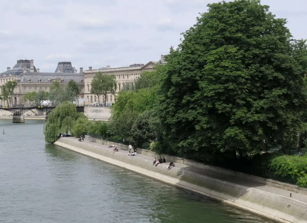 Square du Vert-Galant, a perfect spot, as seen from Pont Neuf. 