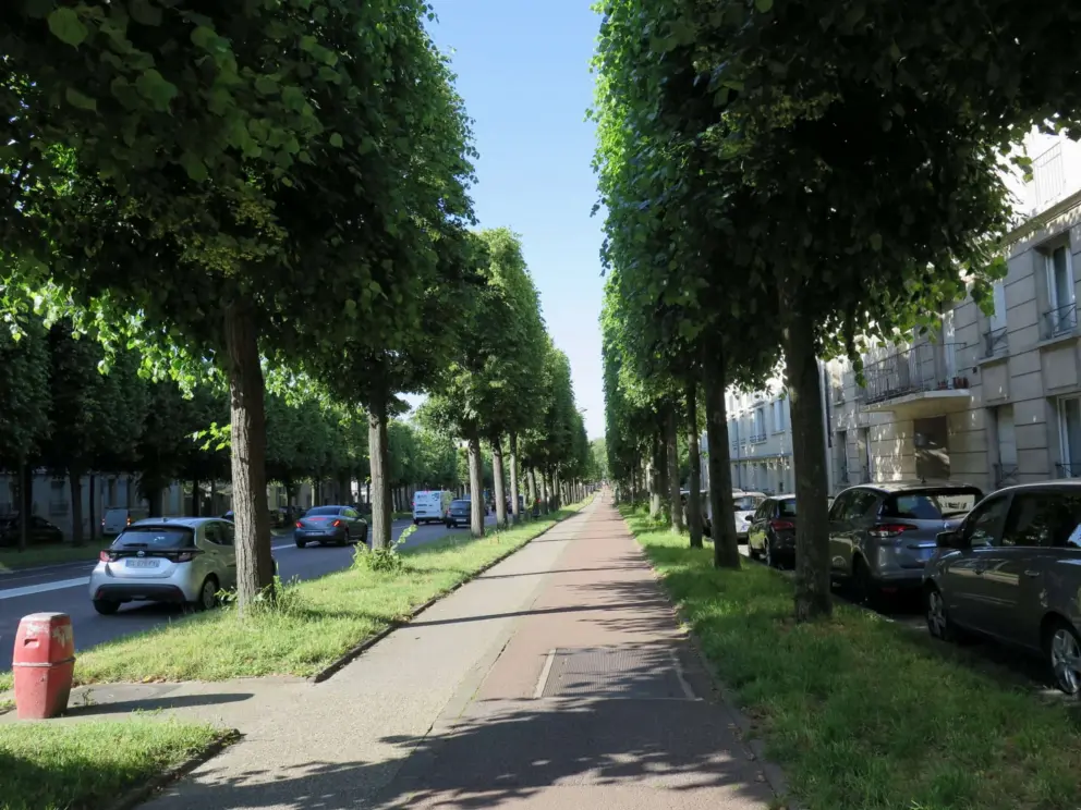 The town is full of bike paths shaded by trees on both sides!