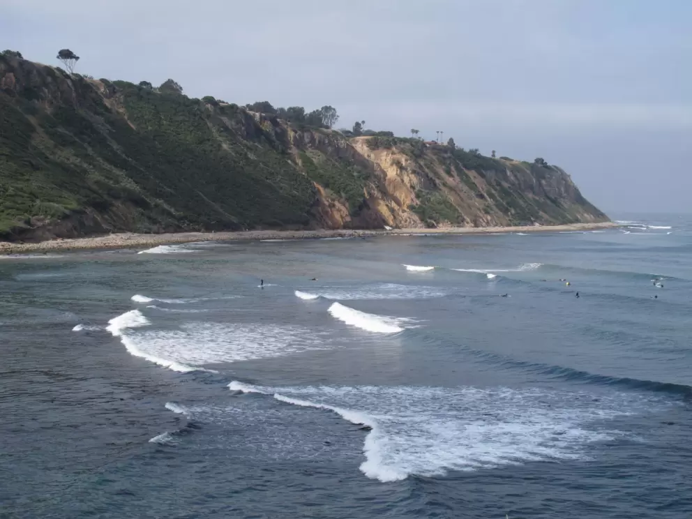 Surfers enjoying the consistent waves.