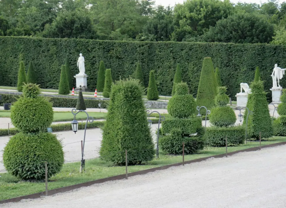 Topiaries of all shapes!