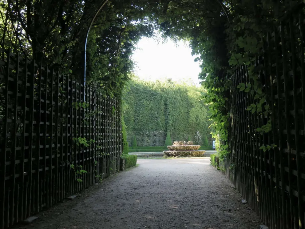 Walking into a grove. 