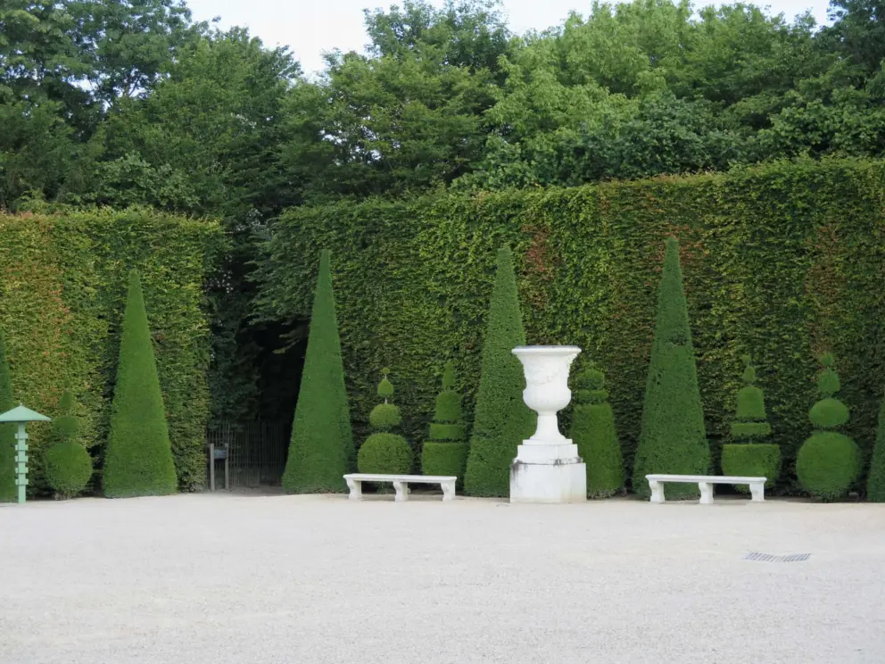 I love these topiaries. 