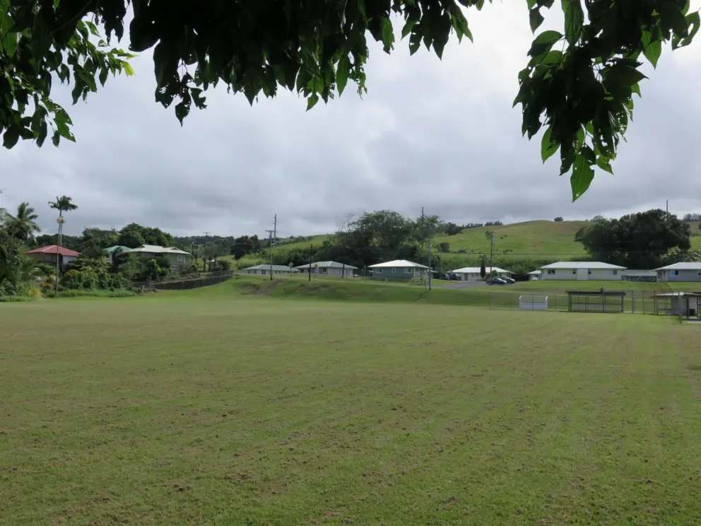 The huge field. 
