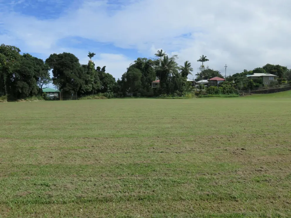 The field. 