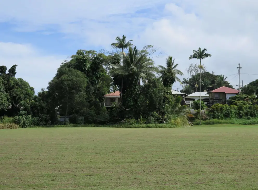 Field and houses in the distance. 