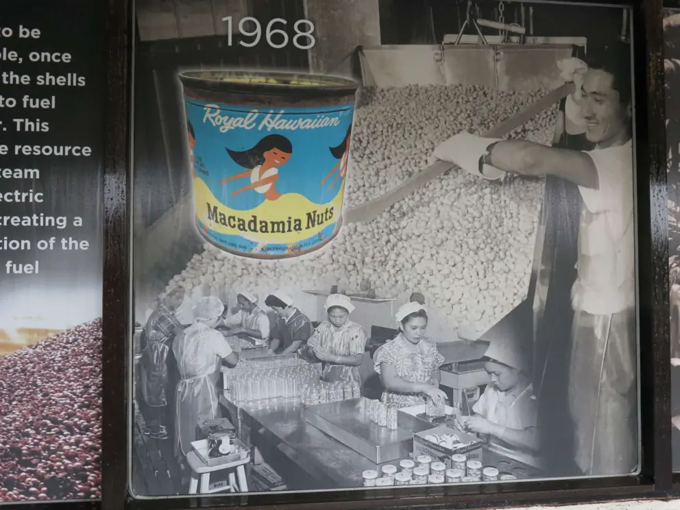 The balcony across from the Visitor Center displays large photos showing the history of the company. 