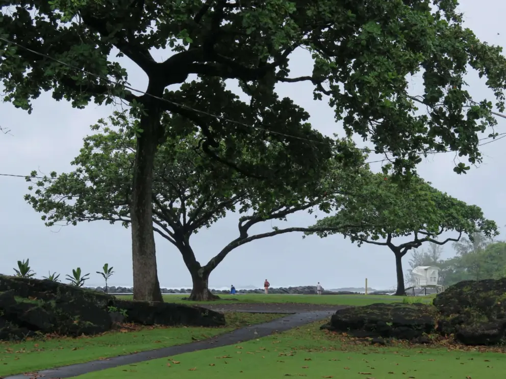 Walking path at the beach park.