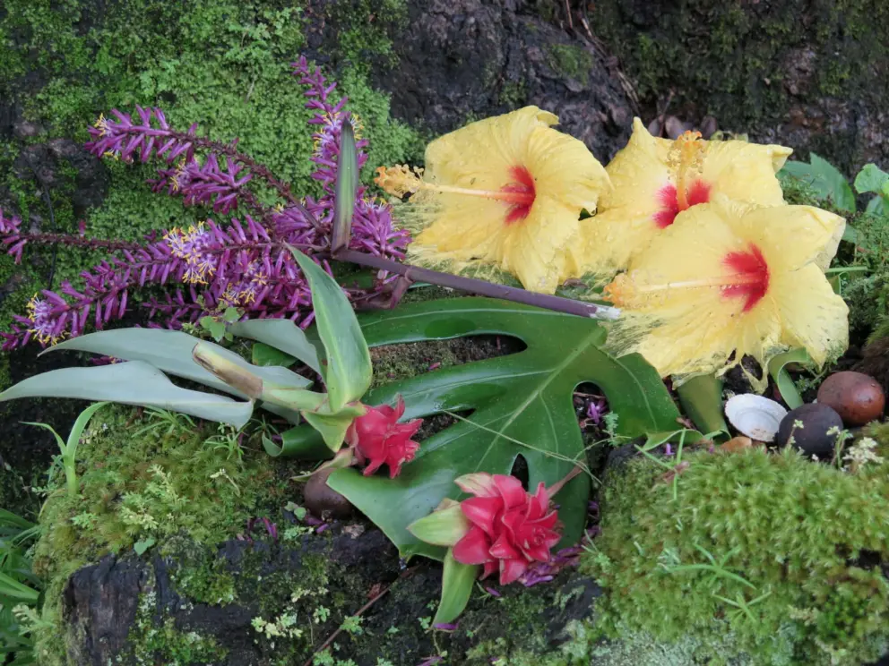 Offering of flowers. 