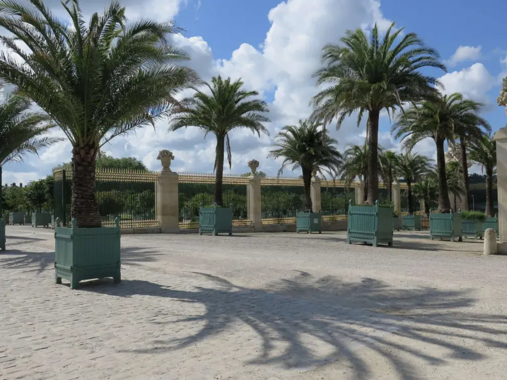 Palm tree shadow in the Orangerie. It feels like you are in Spain.