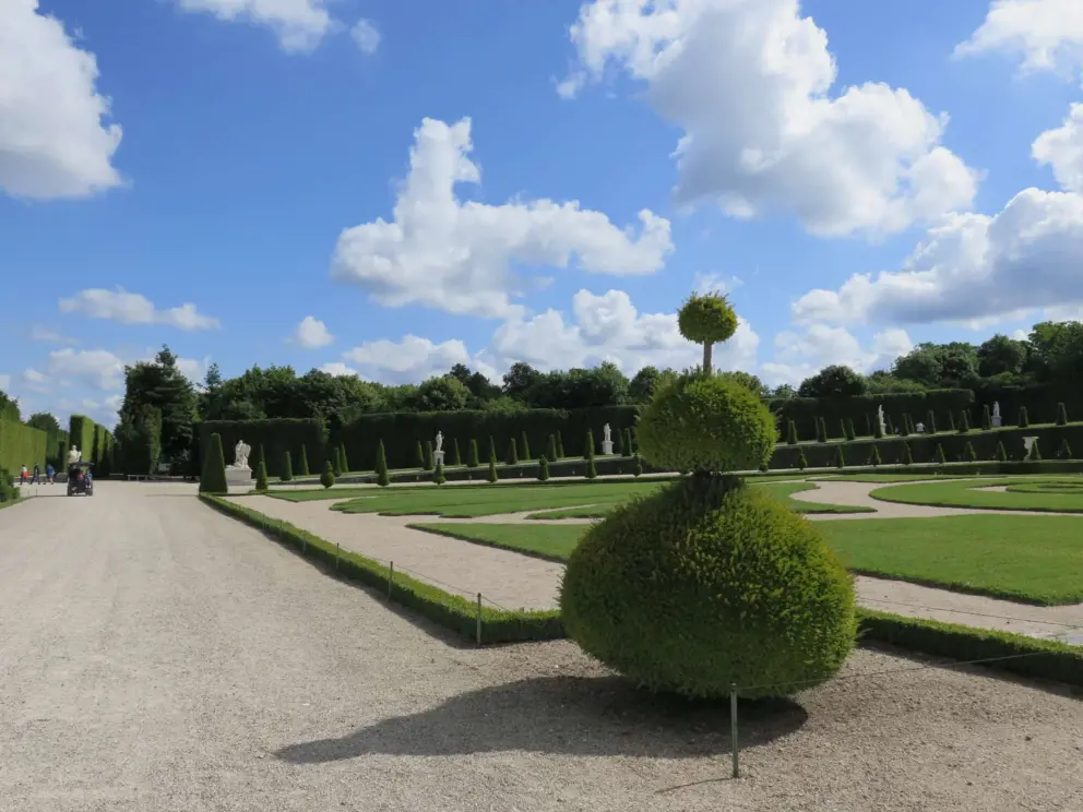 Rounded topiary and blue sky.