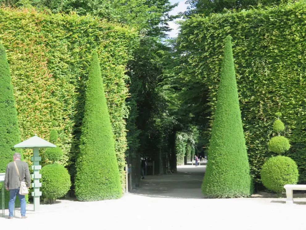 Lovely topiaries.