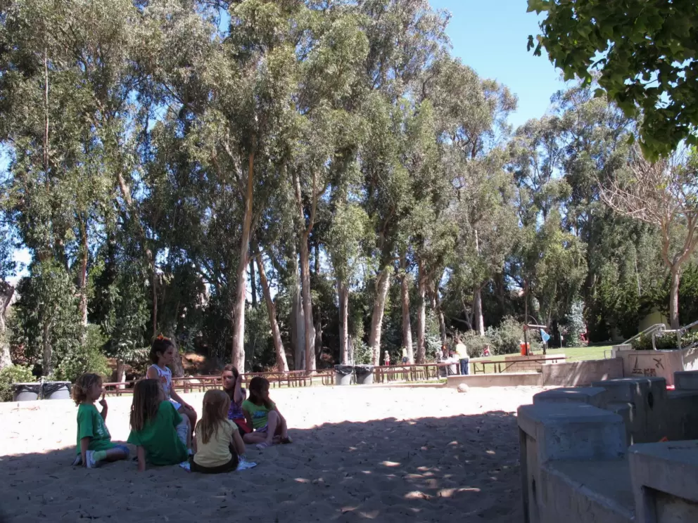 Kids in the sandpit with the lovely strand of eucalyptus behind.