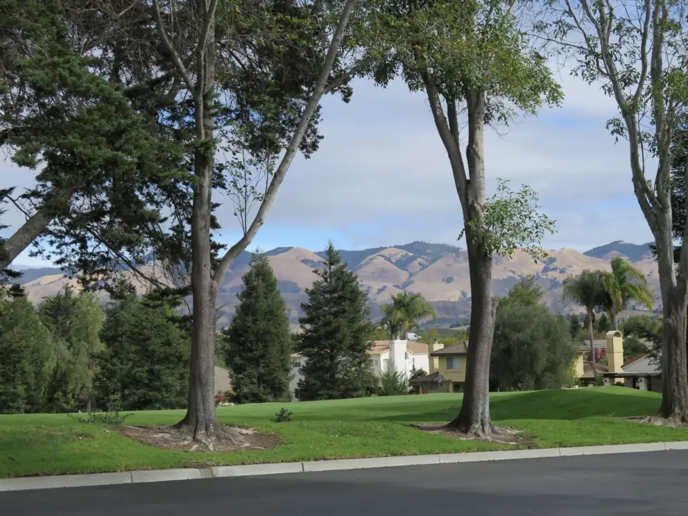 Views of lovely trees and mountains from Greystone Place. 