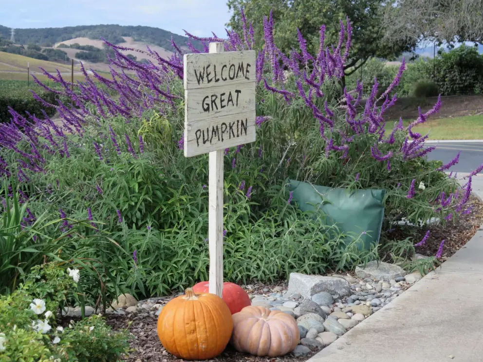 Harvest decorations in October. 