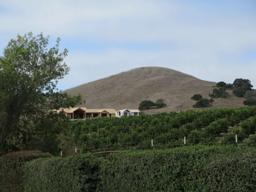 Dry hill behind Vineda development. 