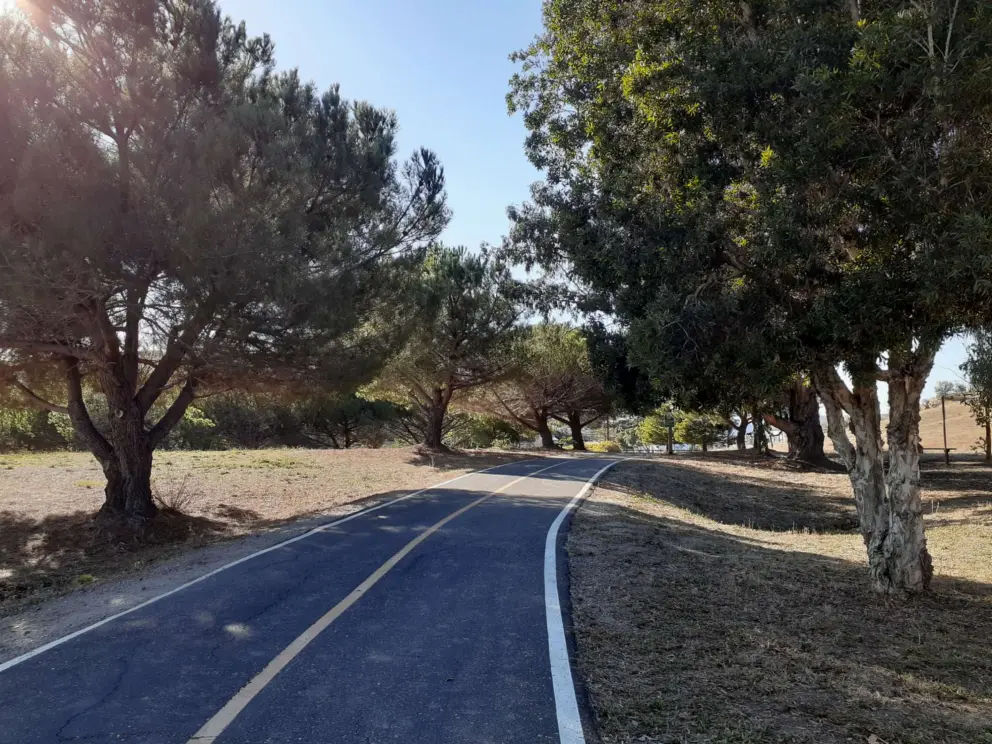 Some shade on the bike path near Sinsheimer Park. 