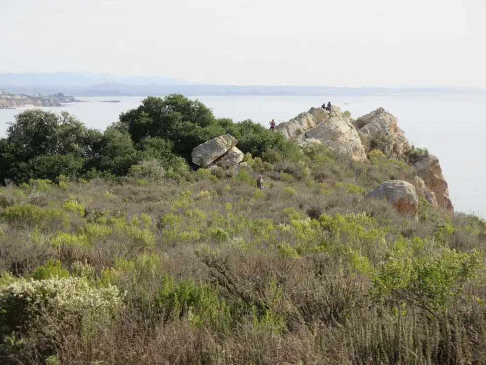 Boulders. 