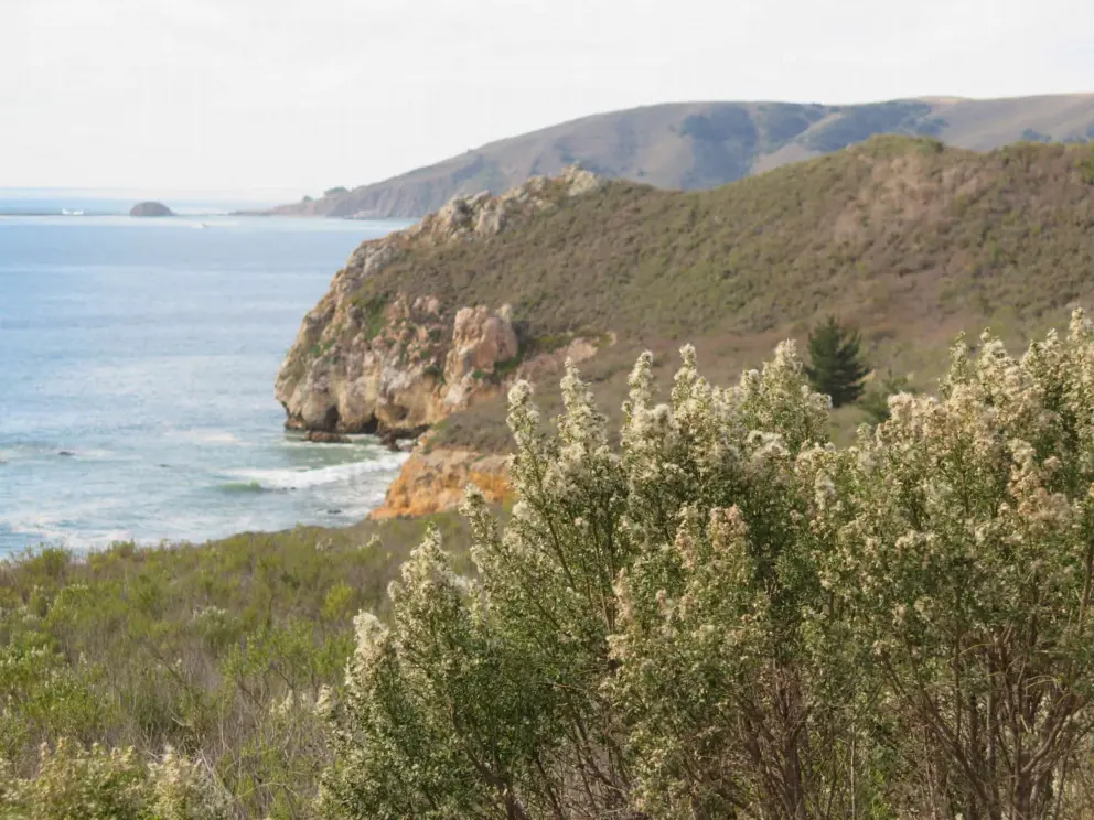 Headlands. 