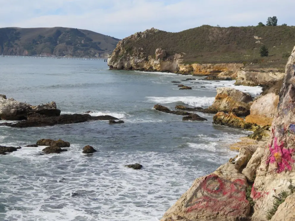 The yellow rock of the headland. 