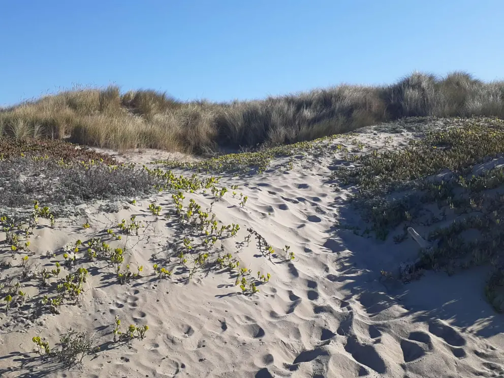The dunes!