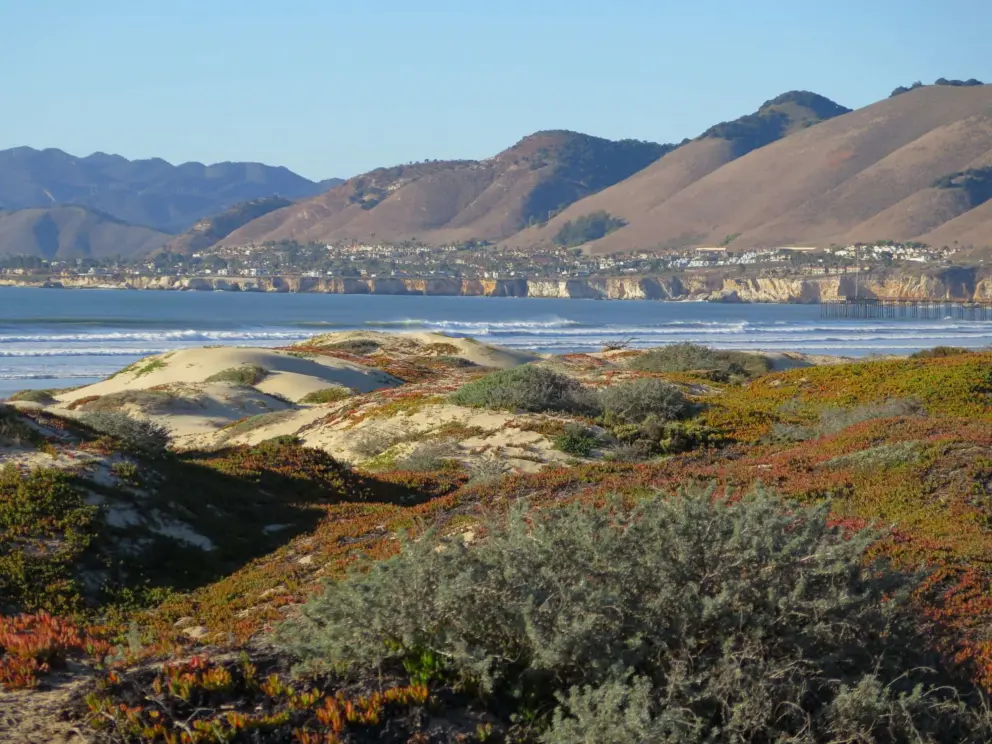 Honeycomb cliffs, dunes, and ocean, as seen from the boardwalk.