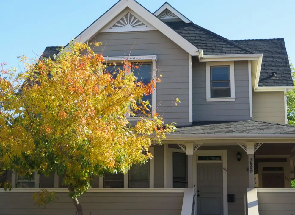Starburst decoration on a home, and yellow tree in December. 