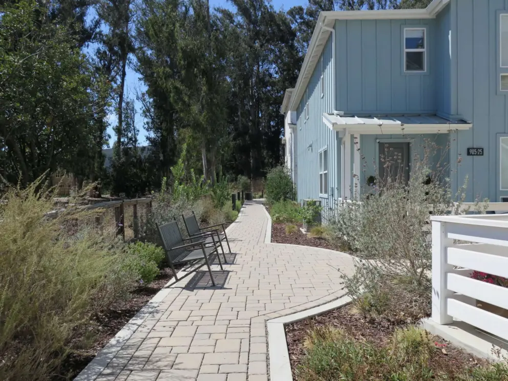 Benches by the eucalyptus forest. 
