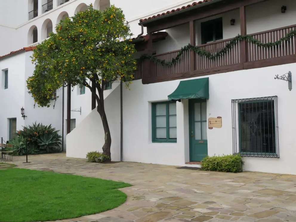 Citrus tree in the courtyard.