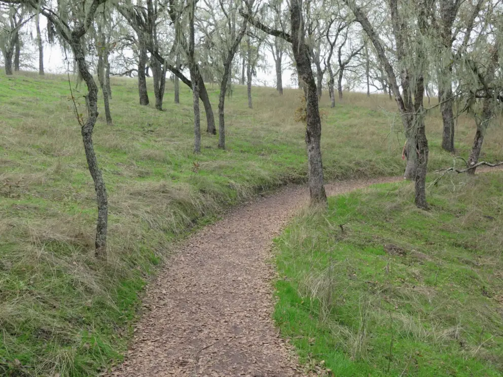 The trail has lots of atmosphere in winter. 